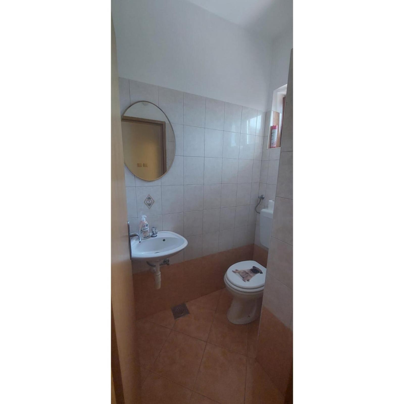 Apartman Dino Roč Exterior foto