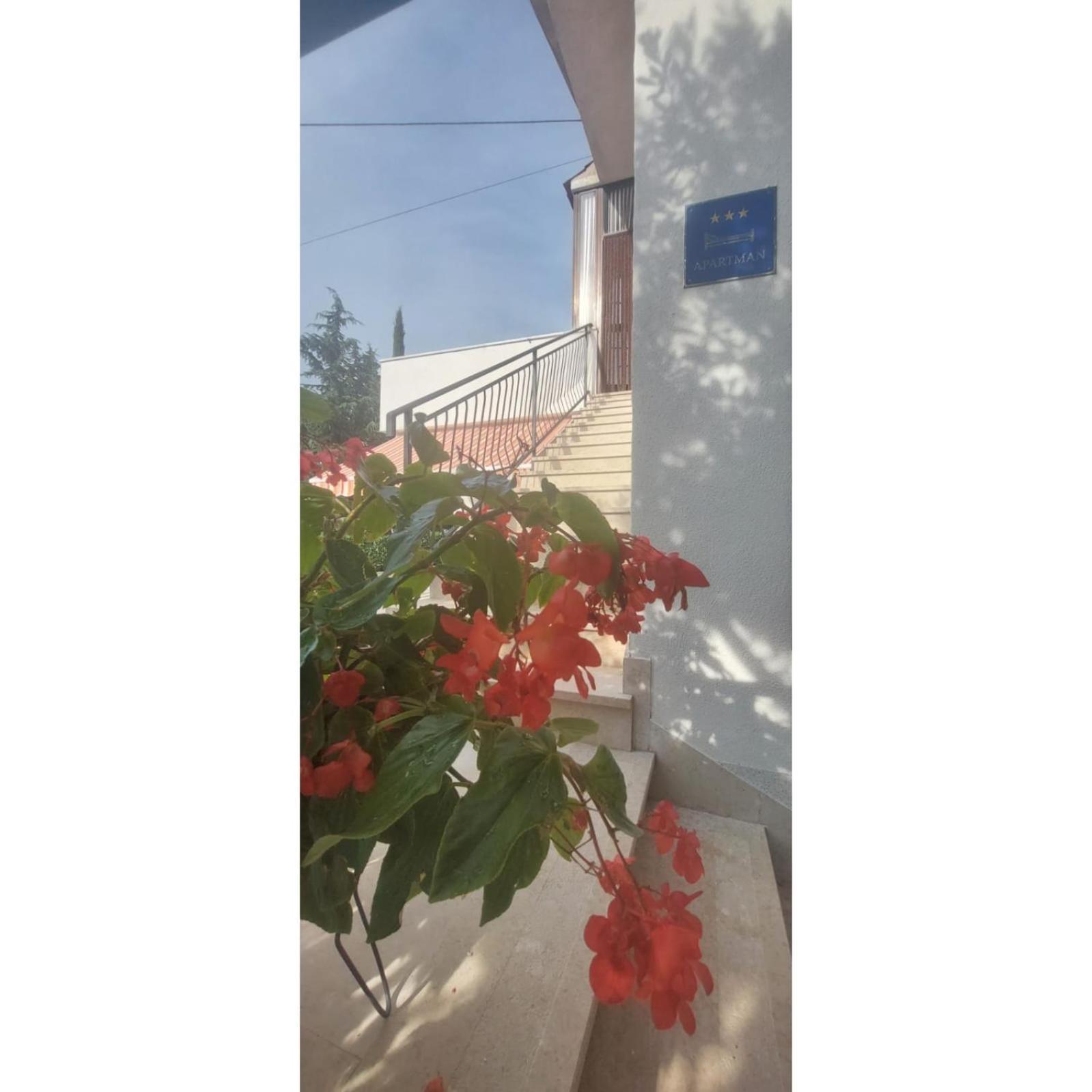 Apartman Dino Roč Exterior foto