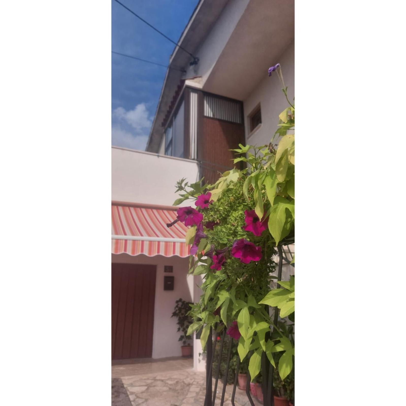 Apartman Dino Roč Exterior foto